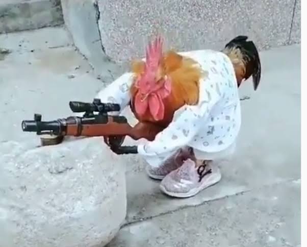 Foto de Gustavo Margotti